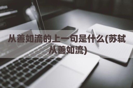 从善如流的上一句是什么(苏轼 从善如流)