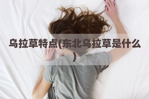 乌拉草特点(东北乌拉草是什么)