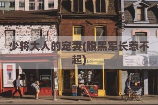 少将大人的宠妻(腹黑军长惹不起)