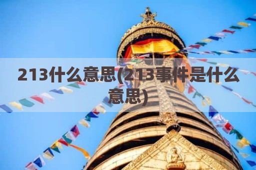 213什么意思(213事件是什么意思)