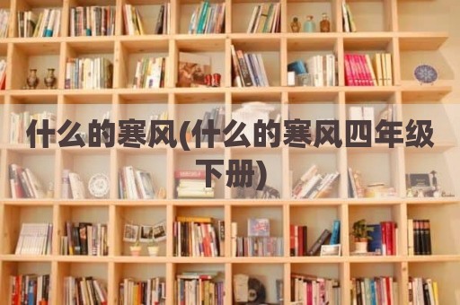 什么的寒风(什么的寒风四年级下册)