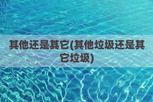其他还是其它(其他垃圾还是其它垃圾)