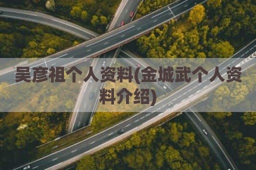 吴彦祖个人资料(金城武个人资料介绍)