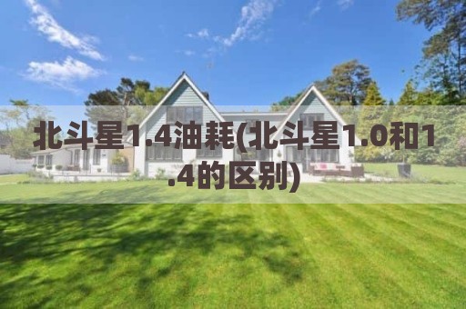 北斗星1.4油耗(北斗星1.0和1.4的区别)