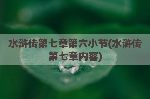 水浒传第七章第六小节(水浒传第七章内容)