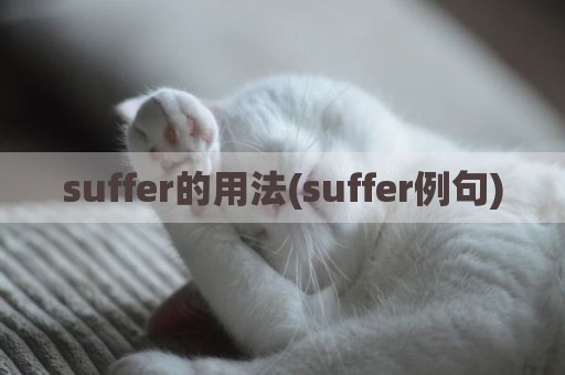 suffer的用法(suffer例句)