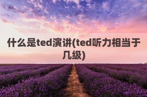 什么是ted演讲(ted听力相当于几级)