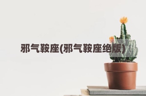 邪气鞍座(邪气鞍座绝版)