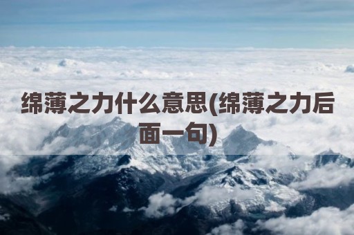 绵薄之力什么意思(绵薄之力后面一句)