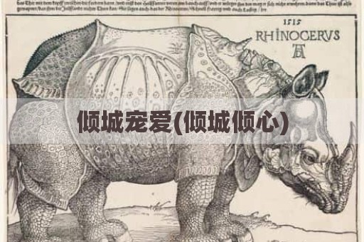 倾城宠爱(倾城倾心)