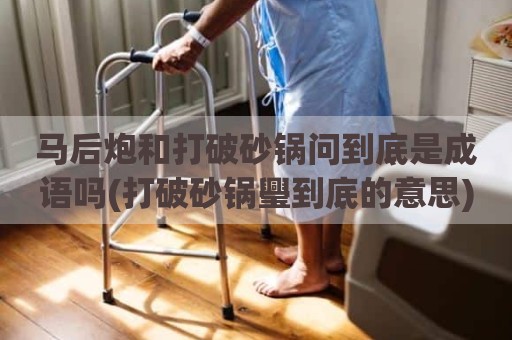 马后炮和打破砂锅问到底是成语吗(打破砂锅璺到底的意思)
