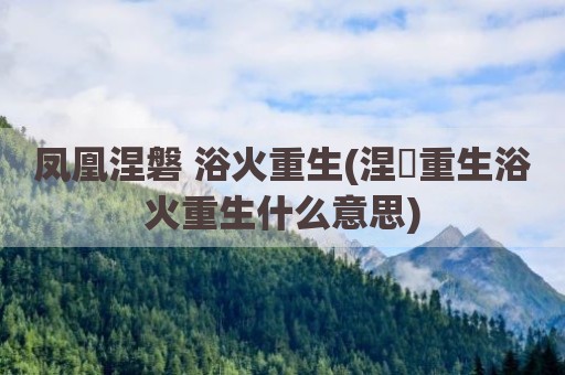 凤凰涅磐 浴火重生(涅槃重生浴火重生什么意思)