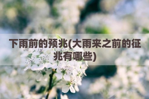 下雨前的预兆(大雨来之前的征兆有哪些)