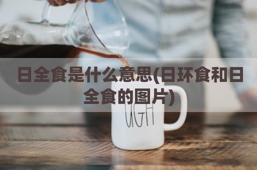 日全食是什么意思(日环食和日全食的图片)