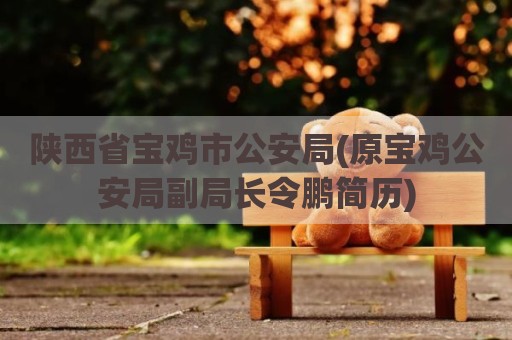 陕西省宝鸡市公安局(原宝鸡公安局副局长令鹏简历)