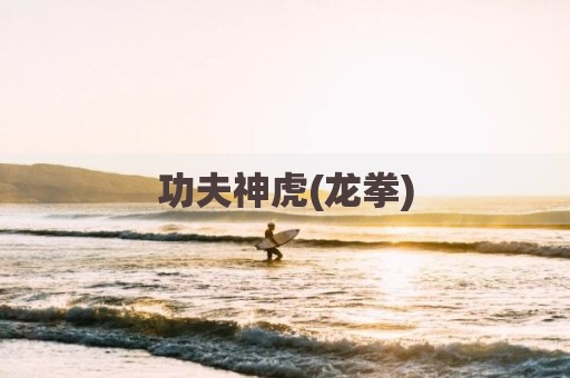 功夫神虎(龙拳)