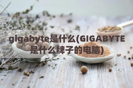 gigabyte是什么(GIGABYTE是什么牌子的电脑)