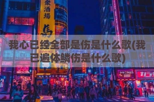我心已经全部是伤是什么歌(我已遍体鳞伤是什么歌)