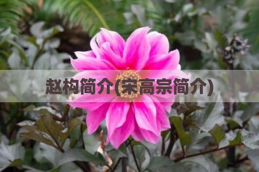 赵构简介(宋高宗简介)