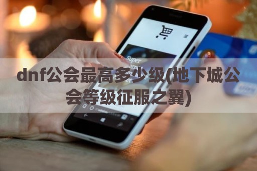 dnf公会最高多少级(地下城公会等级征服之翼)