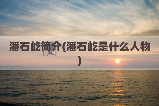 潘石屹简介(潘石屹是什么人物)