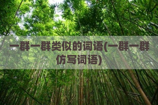 一群一群类似的词语(一群一群仿写词语)