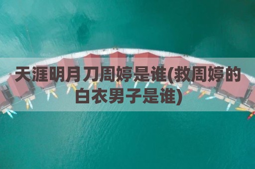 天涯明月刀周婷是谁(救周婷的白衣男子是谁)