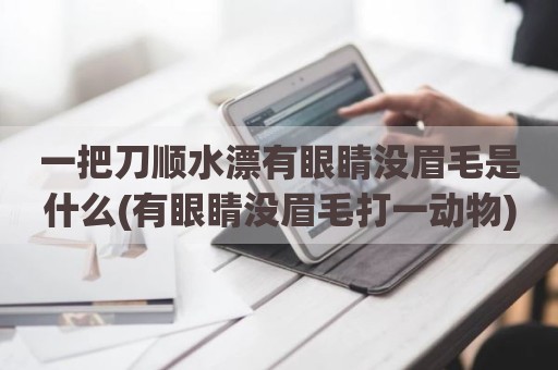 一把刀顺水漂有眼睛没眉毛是什么(有眼睛没眉毛打一动物)