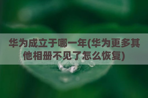 华为成立于哪一年(华为更多其他相册不见了怎么恢复)