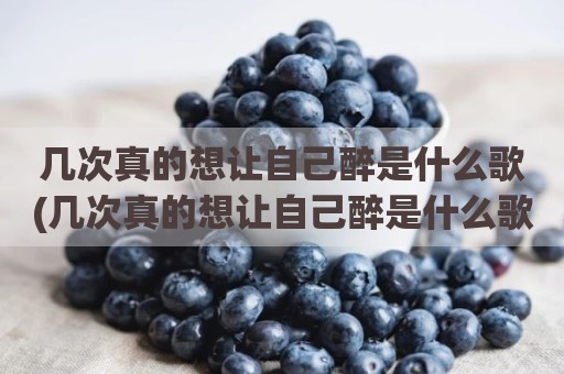 几次真的想让自己醉是什么歌(几次真的想让自己醉是什么歌歌词)