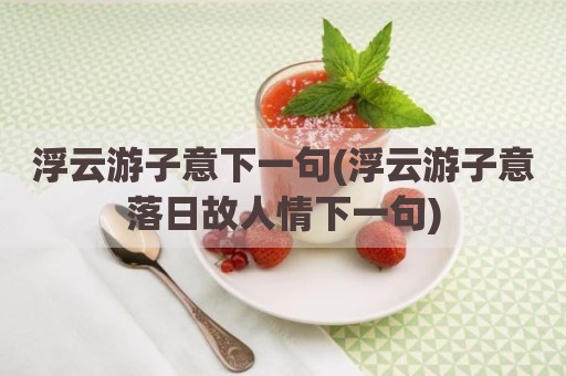 浮云游子意下一句(浮云游子意落日故人情下一句)