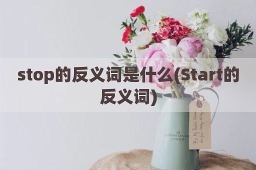 stop的反义词是什么(Start的反义词)