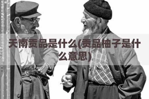 天南贡品是什么(贡品柚子是什么意思)