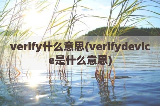 verify什么意思(verifydevice是什么意思)