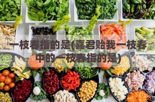 一枝春指的是(喜君贻我一枝春中的一枝春指的是)