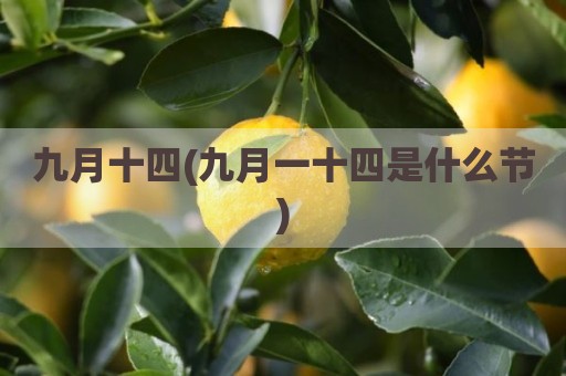 九月十四(九月一十四是什么节)
