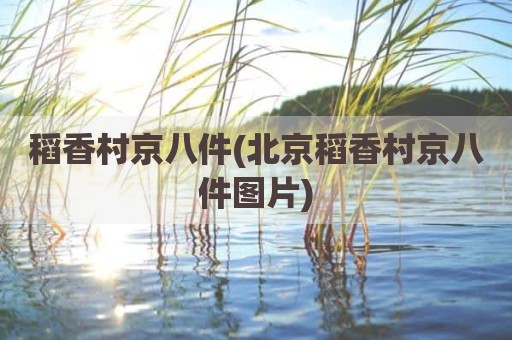 稻香村京八件(北京稻香村京八件图片)