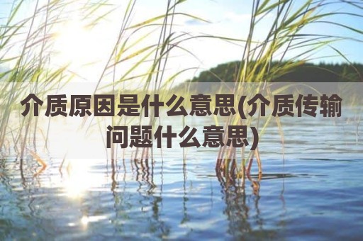 介质原因是什么意思(介质传输问题什么意思)