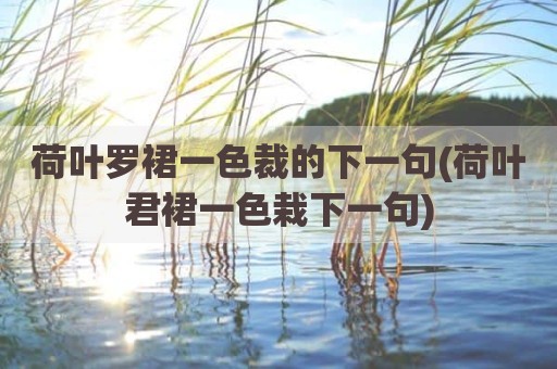 荷叶罗裙一色裁的下一句(荷叶君裙一色栽下一句)