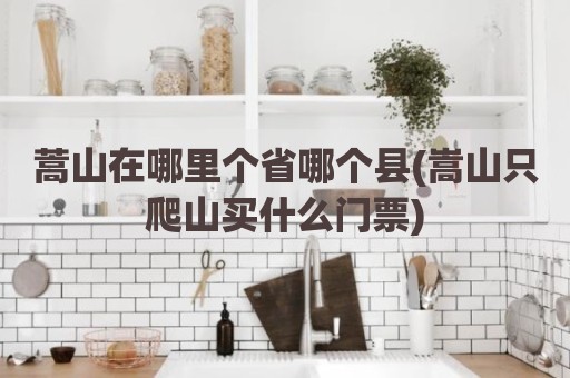 蒿山在哪里个省哪个县(嵩山只爬山买什么门票)