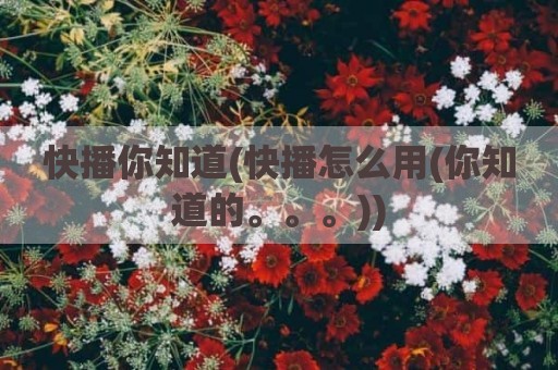 快播你知道(快播怎么用(你知道的。。。))