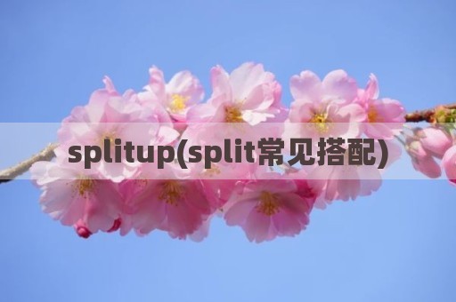 splitup(split常见搭配)