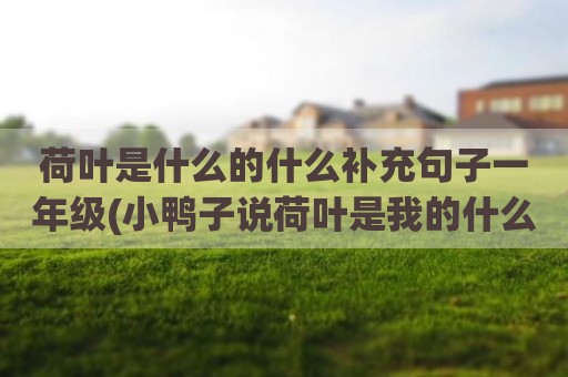 荷叶是什么的什么补充句子一年级(小鸭子说荷叶是我的什么仿写)