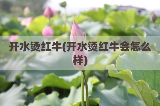 开水烫红牛(开水烫红牛会怎么样)