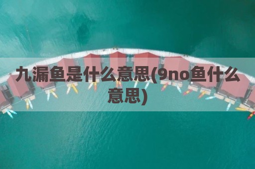 九漏鱼是什么意思(9no鱼什么意思)