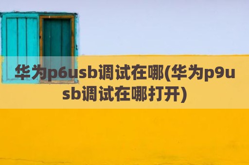华为p6usb调试在哪(华为p9usb调试在哪打开)