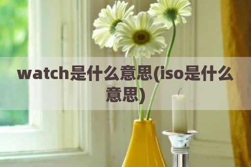 watch是什么意思(iso是什么意思)
