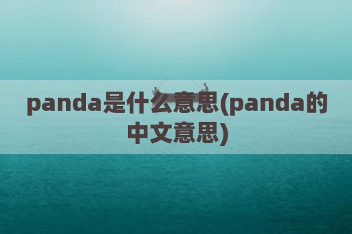 panda是什么意思(panda的中文意思)
