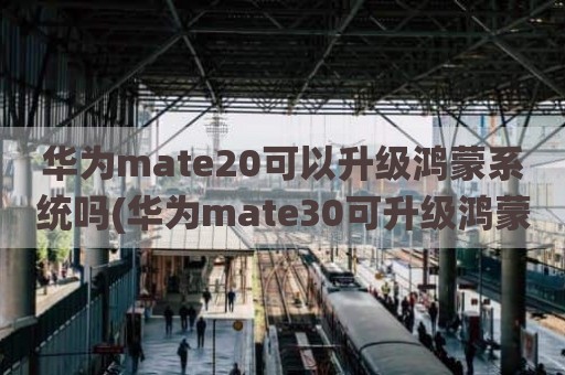 华为mate20可以升级鸿蒙系统吗(华为mate30可升级鸿蒙)