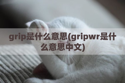 grip是什么意思(gripwr是什么意思中文)